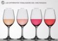 /album/fotogaleria-/tonalidades-del-vino-rosado-jpg/